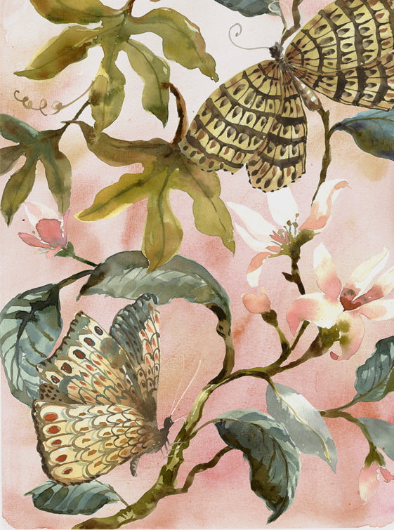 Wallpaper - Butterfly